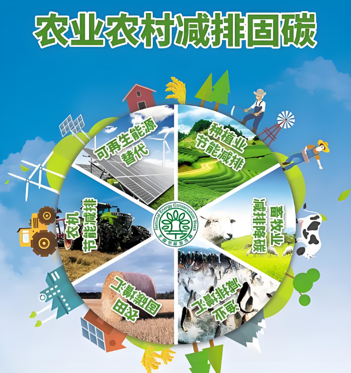 叶子变票子，森林也能变现了
